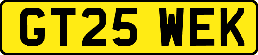 GT25WEK
