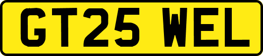GT25WEL