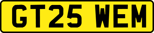 GT25WEM