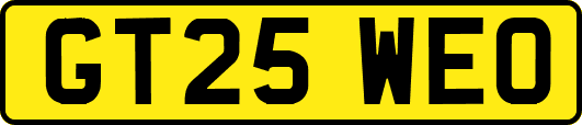 GT25WEO