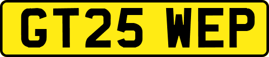 GT25WEP