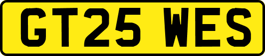 GT25WES