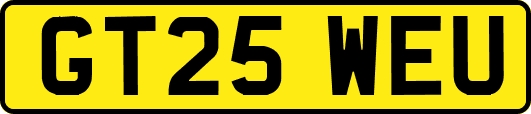 GT25WEU