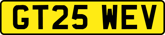 GT25WEV
