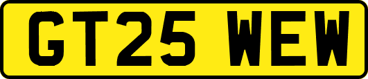GT25WEW