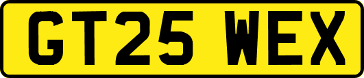 GT25WEX