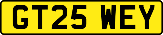 GT25WEY