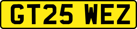 GT25WEZ