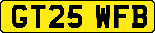 GT25WFB