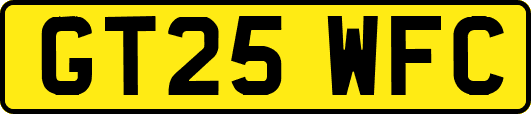 GT25WFC