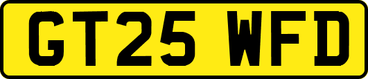 GT25WFD