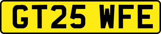 GT25WFE