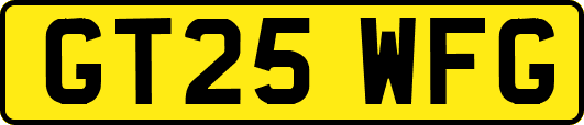 GT25WFG