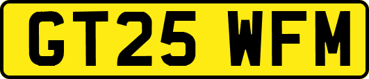 GT25WFM