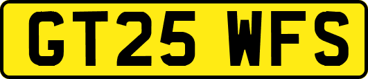 GT25WFS