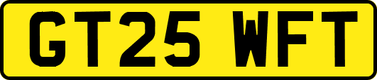 GT25WFT