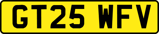 GT25WFV
