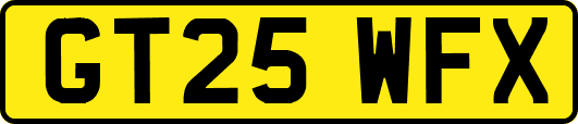 GT25WFX