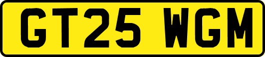 GT25WGM