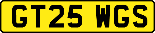 GT25WGS