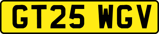 GT25WGV