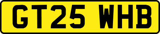 GT25WHB