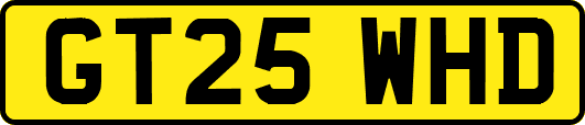 GT25WHD