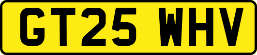 GT25WHV