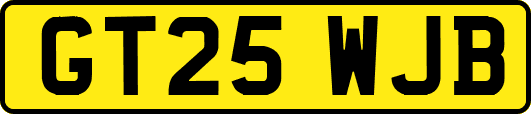 GT25WJB