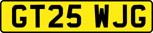 GT25WJG