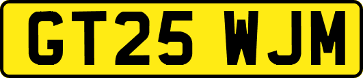 GT25WJM