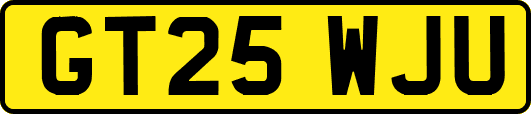 GT25WJU