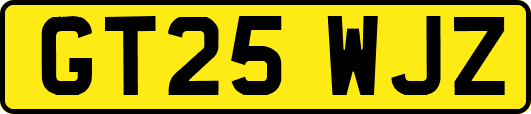 GT25WJZ