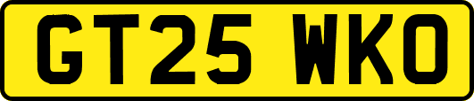 GT25WKO