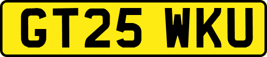 GT25WKU