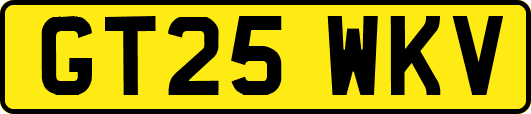 GT25WKV