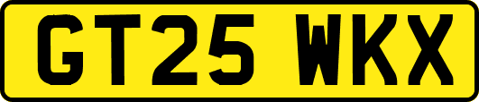 GT25WKX