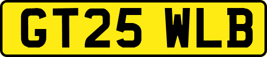 GT25WLB