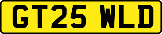 GT25WLD