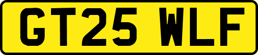 GT25WLF