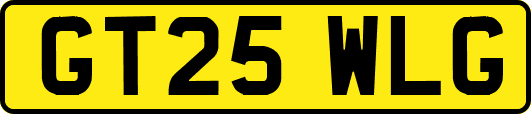 GT25WLG