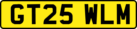 GT25WLM