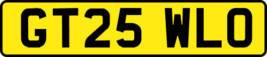 GT25WLO