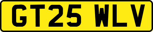 GT25WLV