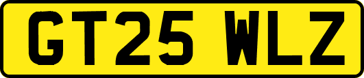 GT25WLZ