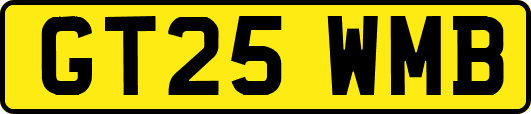 GT25WMB