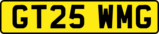 GT25WMG