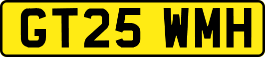 GT25WMH