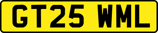 GT25WML