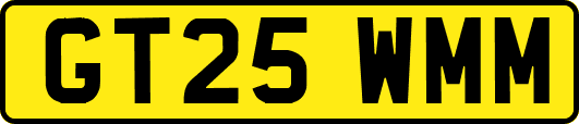 GT25WMM